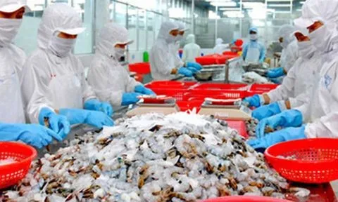 Những lưu ý với doanh nghiệp xuất khẩu thủy sản sang Trung Quốc